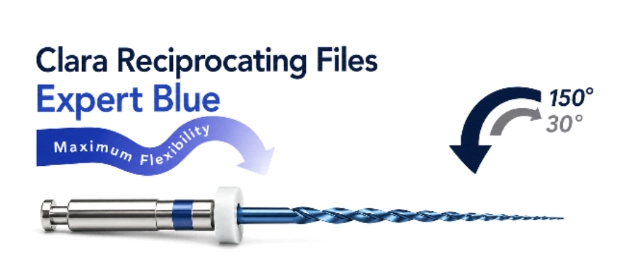 rotary-files8